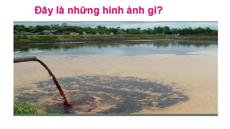 Đây là những hình ảnh gì? 