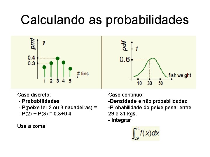 Calculando as probabilidades Caso discreto: - Probabilidades - P(peixe ter 2 ou 3 nadadeiras)