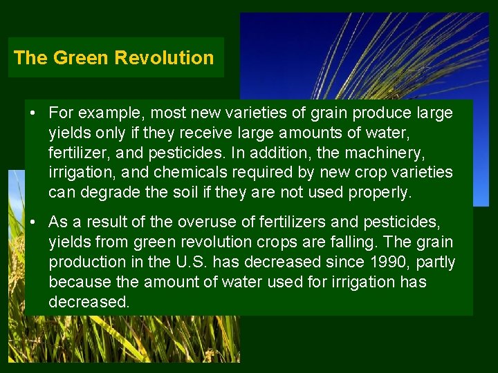 The Green Revolution • For example, most new varieties of grain produce large yields