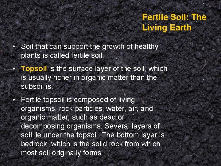 Fertile Soil: The Living Earth • Soil that can support the growth of healthy