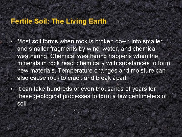 Fertile Soil: The Living Earth • Most soil forms when rock is broken down