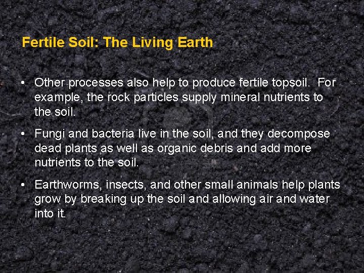 Fertile Soil: The Living Earth • Other processes also help to produce fertile topsoil.
