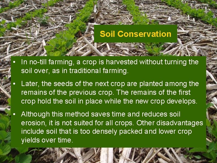Soil Conservation • In no-till farming, a crop is harvested without turning the soil