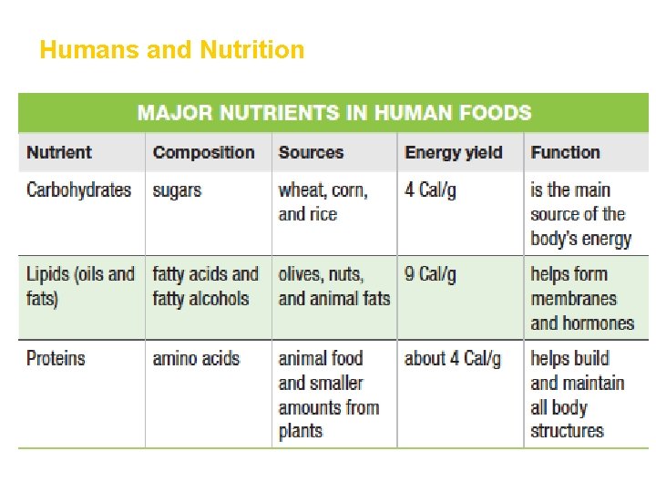 Humans and Nutrition 