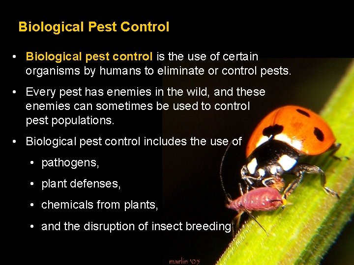 Biological Pest Control • Biological pest control is the use of certain organisms by