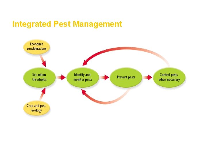 Integrated Pest Management 