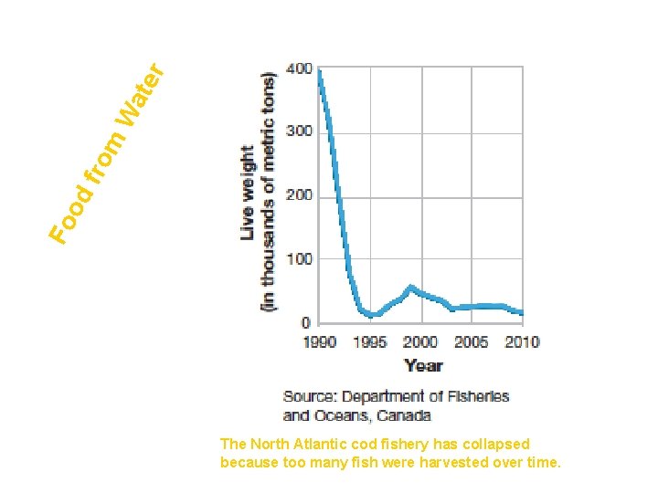 r Wa te fro m od Fo The North Atlantic cod fishery has collapsed