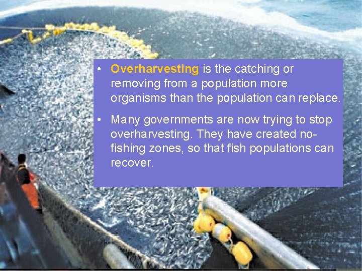  • Overharvesting is the catching or removing from a population more organisms than