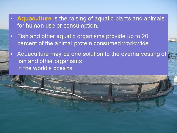  • Aquaculture is the raising of aquatic plants and animals for human use