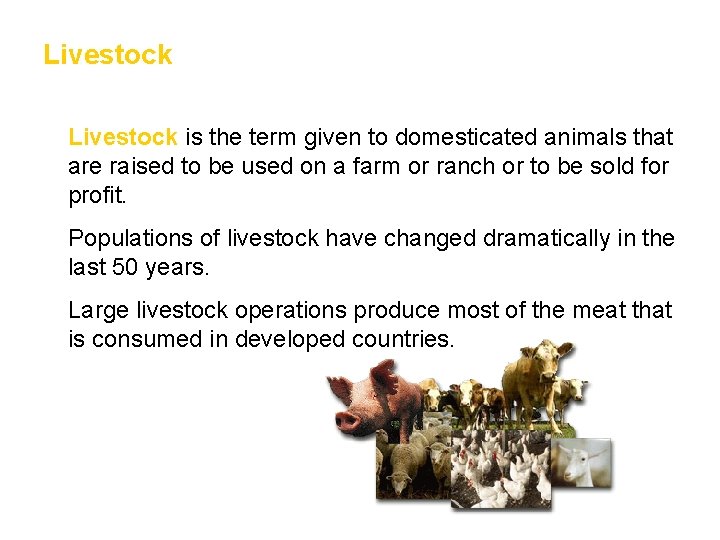 Livestock • Livestock is the term given to domesticated animals that are raised to