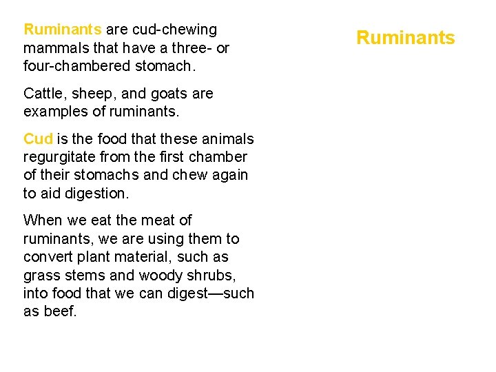  • Ruminants are cud-chewing mammals that have a three- or four-chambered stomach. •