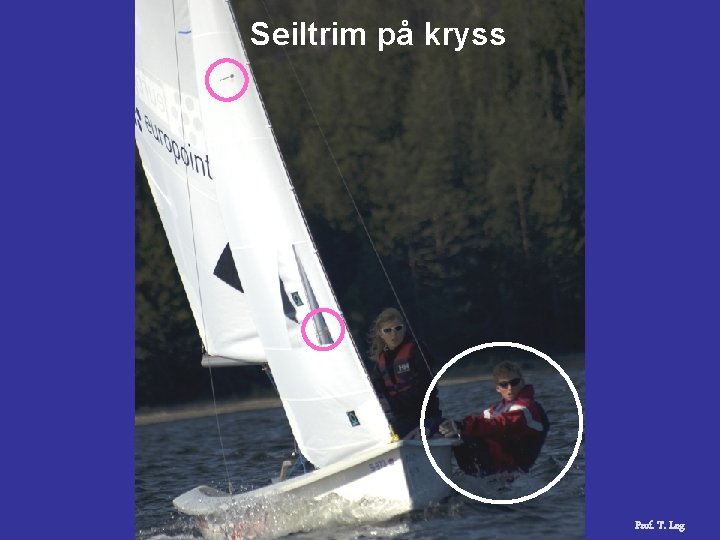 Seiltrim på kryss Prof. T. Log 