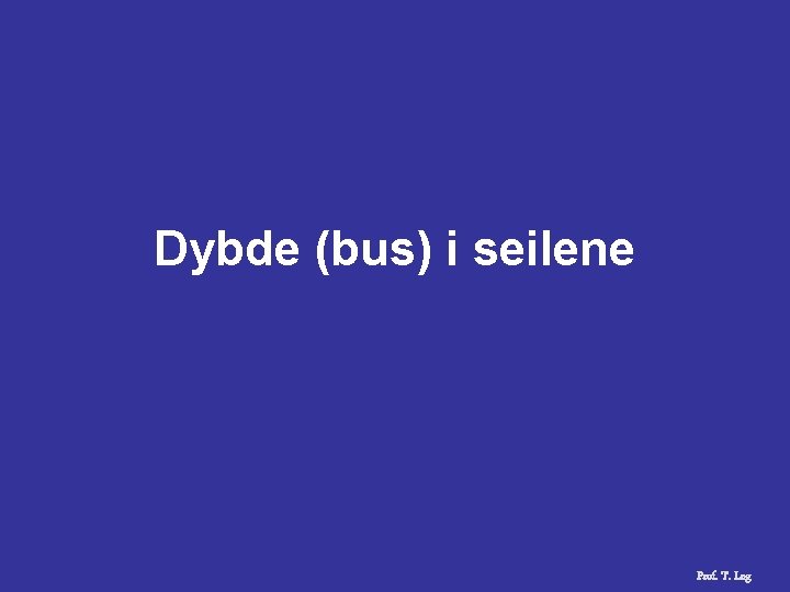 Dybde (bus) i seilene Prof. T. Log 