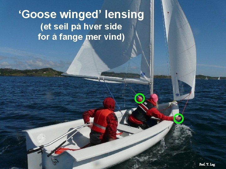 ‘Goose winged’ lensing (et seil på hver side for å fange mer vind) Prof.