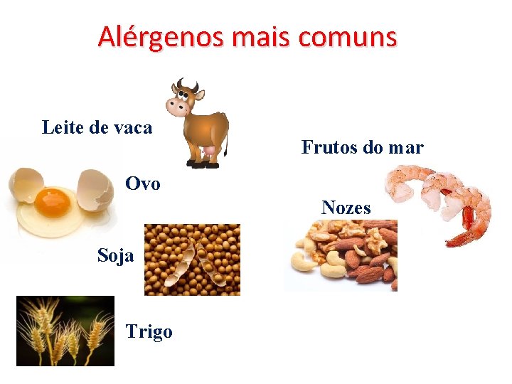 Alérgenos mais comuns Leite de vaca Frutos do mar Ovo Nozes Soja Trigo 