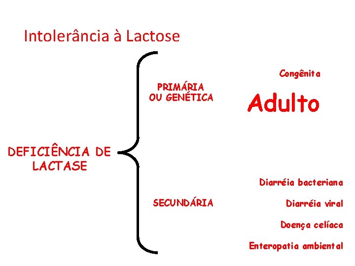 Intolerância à Lactose Congênita PRIMÁRIA OU GENÉTICA Adulto DEFICIÊNCIA DE LACTASE Diarréia bacteriana SECUNDÁRIA
