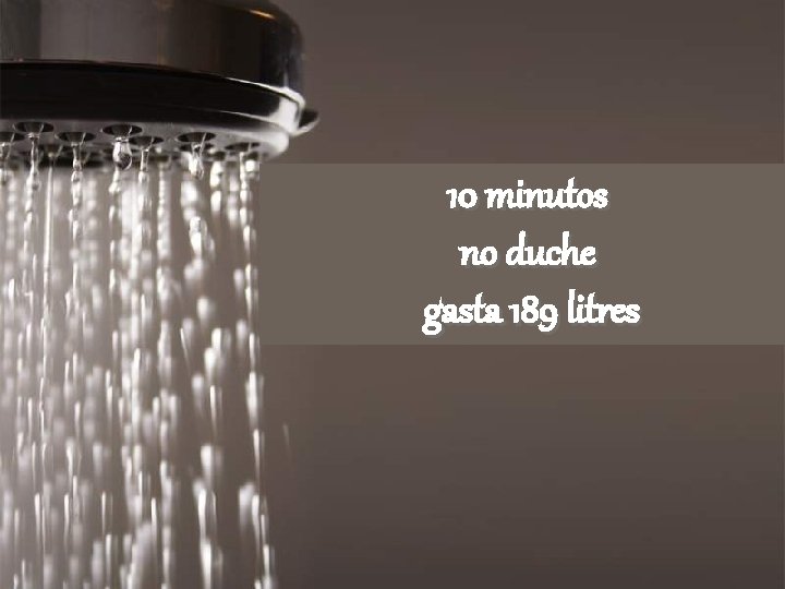 10 minutos no duche gasta 189 litres 