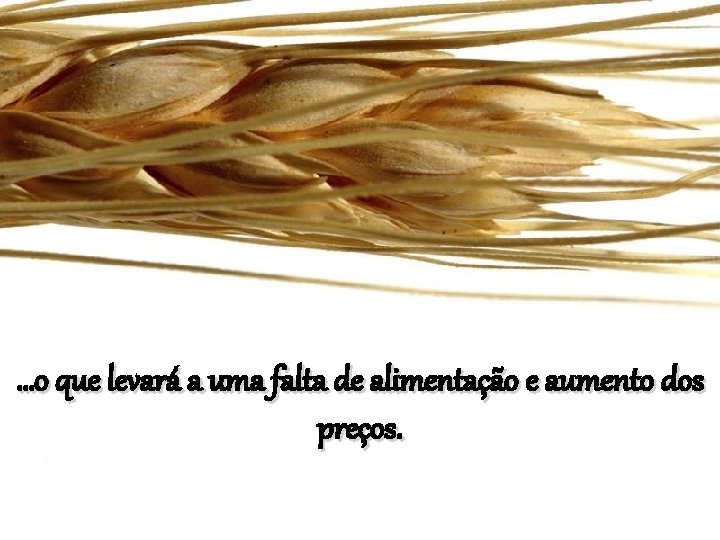 …o que levará a uma falta de alimentação e aumento dos preços. 