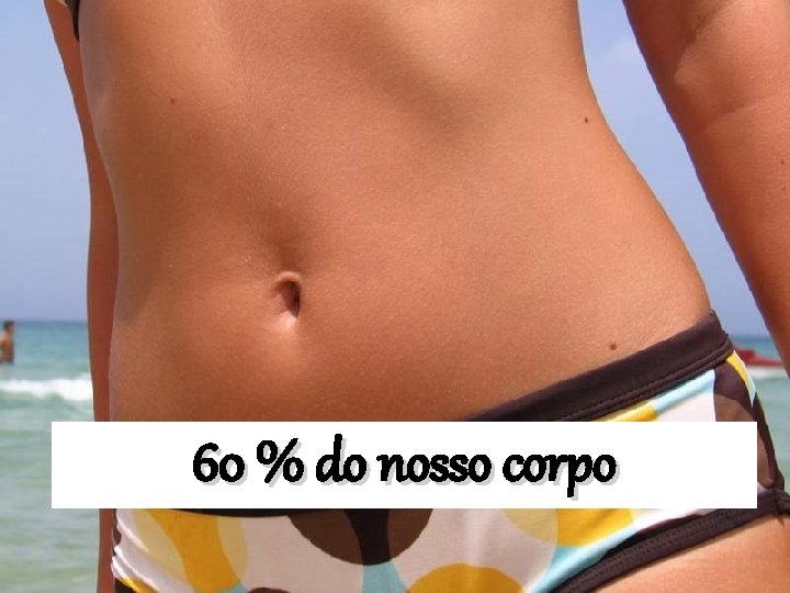 60 % do nosso corpo 60 % do nosso corpo