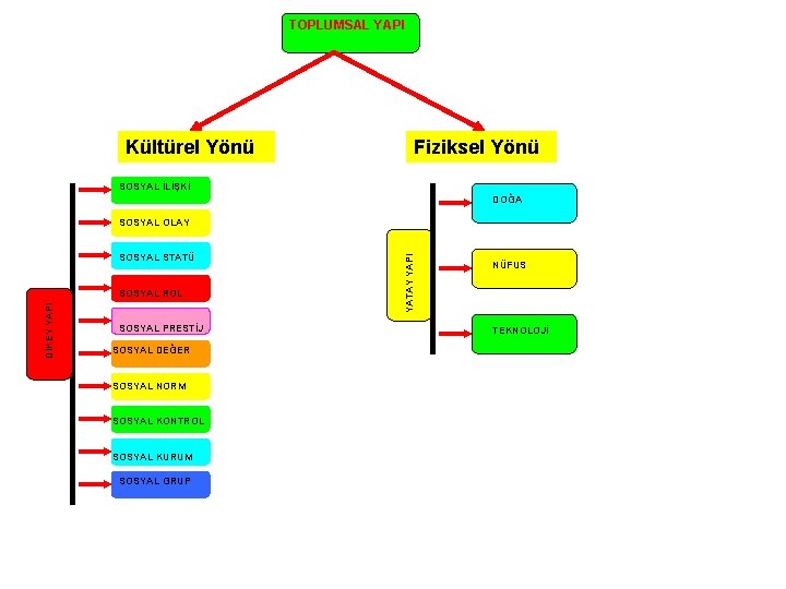 TOPLUMSAL YAPI Kültürel Yönü Fiziksel Yönü SOSYAL İLİŞKİ DOĞA SOSYAL STATÜ DİKEY YAPI SOSYAL