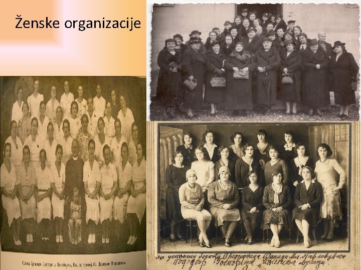 Ženske organizacije 