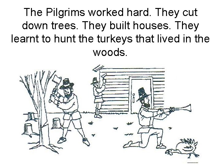 The Pilgrims worked hard. They cut down trees. They built houses. They learnt to