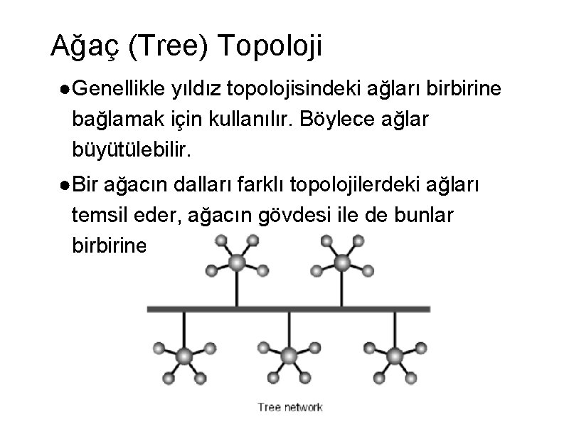 Ağaç (Tree) Topoloji ●Genellikle yıldız topolojisindeki ağları birbirine bağlamak için kullanılır. Böylece ağlar büyütülebilir.