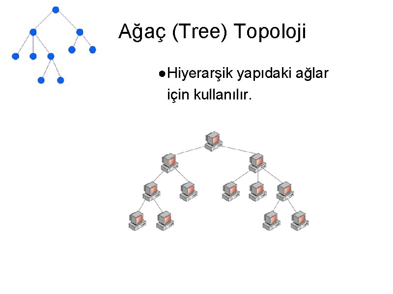 Ağaç (Tree) Topoloji ●Hiyerarşik yapıdaki ağlar için kullanılır. 