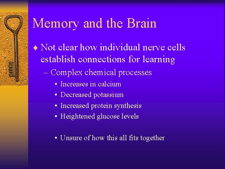 Memory and the Brain ¨ Not clear how individual nerve cells establish connections for Memory and the Brain ¨ Not clear how individual nerve cells establish connections for