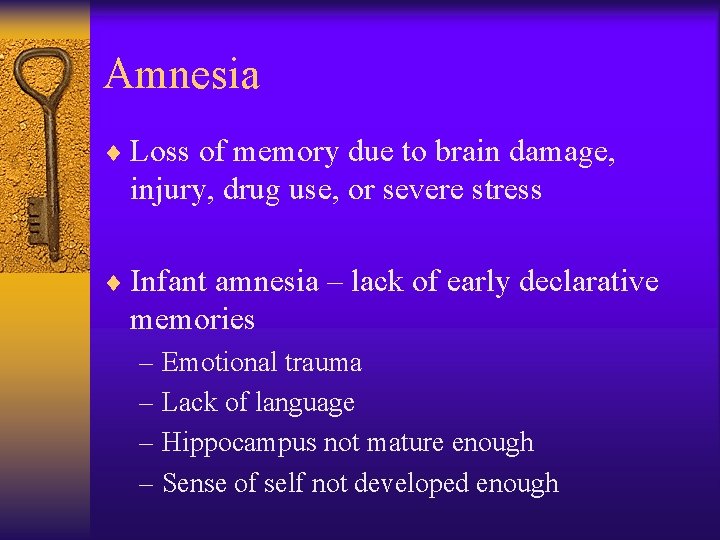 Amnesia ¨ Loss of memory due to brain damage, injury, drug use, or severe Amnesia ¨ Loss of memory due to brain damage, injury, drug use, or severe