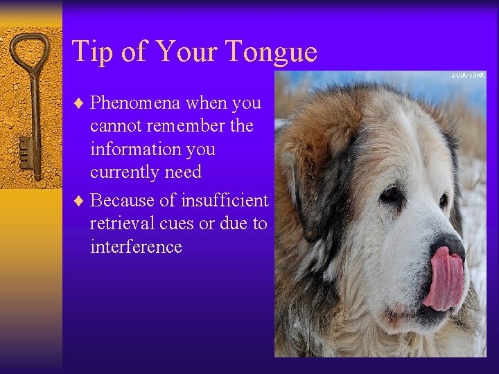 Tip of Your Tongue ¨ Phenomena when you cannot remember the information you currently Tip of Your Tongue ¨ Phenomena when you cannot remember the information you currently