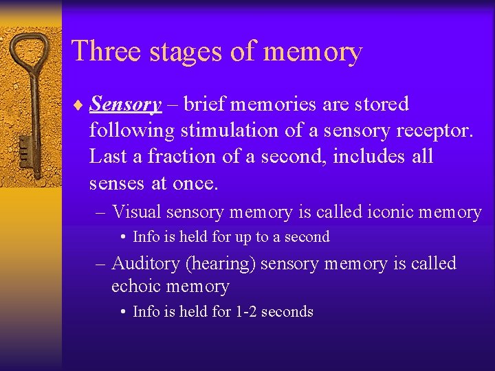 Three stages of memory ¨ Sensory – brief memories are stored following stimulation of Three stages of memory ¨ Sensory – brief memories are stored following stimulation of