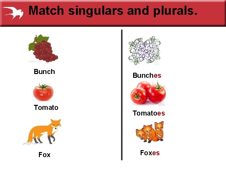 Match singulars and plurals. Bunch Tomato Fox Bunches Tomatoes Foxes 