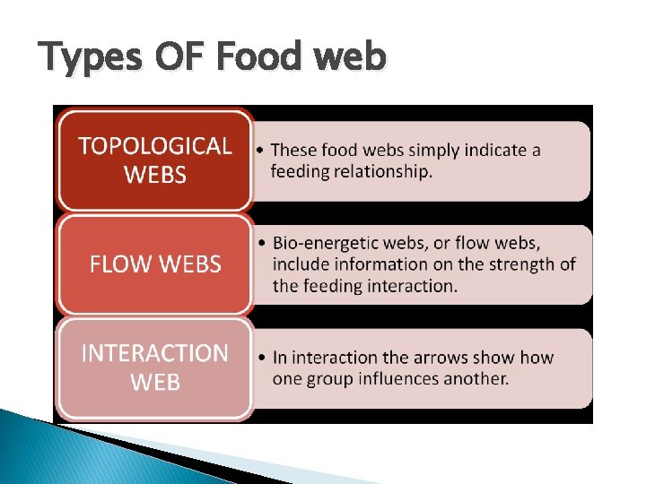 Types OF Food web 
