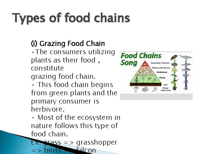 Types of food chains (i) Grazing Food Chain • The consumers utilizing plants as