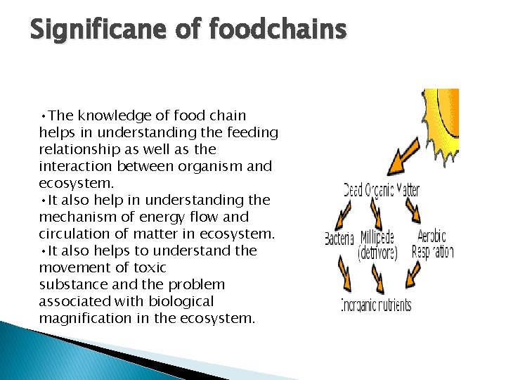 Significane of foodchains • The knowledge of food chain helps in understanding the feeding