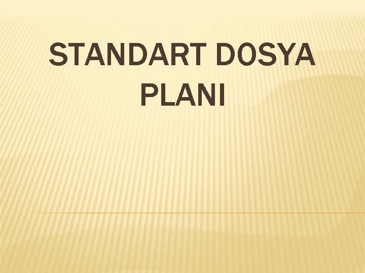 STANDART DOSYA PLANI 