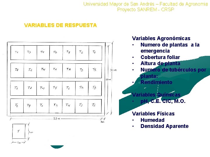 Universidad Mayor de San Andrés – Facultad de Agronomia Proyecto SANREM - CRSP VARIABLES