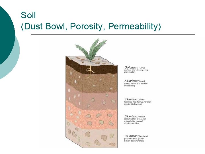 Soil (Dust Bowl, Porosity, Permeability) 