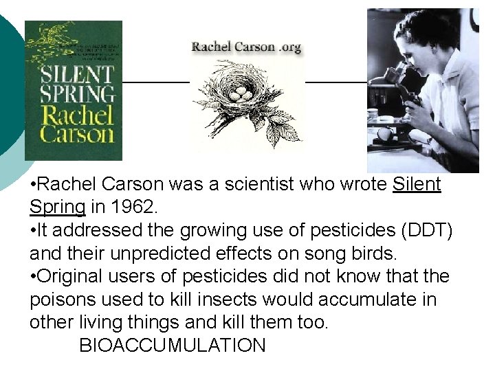  • Rachel Carson was a scientist who wrote Silent Spring in 1962. •