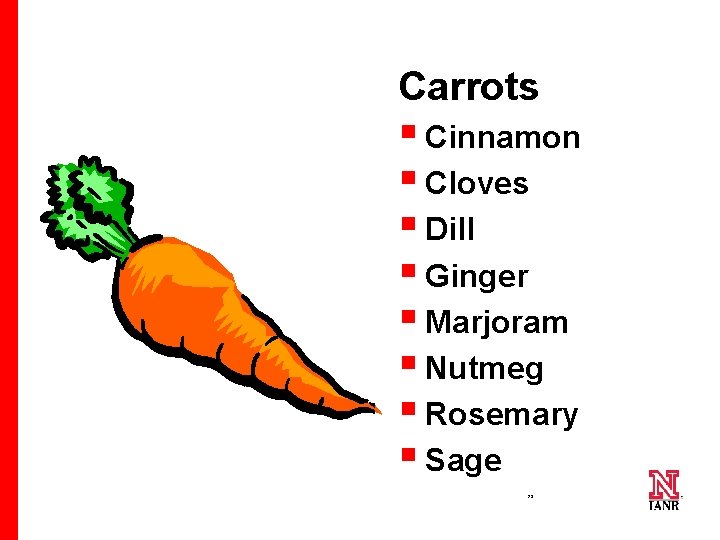 Carrots § Cinnamon § Cloves § Dill § Ginger § Marjoram § Nutmeg §