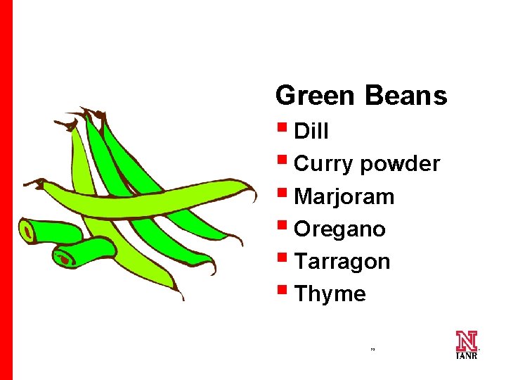 Green Beans § Dill § Curry powder § Marjoram § Oregano § Tarragon §