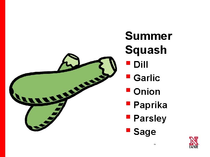 Summer Squash § Dill § Garlic § Onion § Paprika § Parsley § Sage