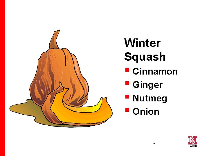 Winter Squash § Cinnamon § Ginger § Nutmeg § Onion 29 29 29 