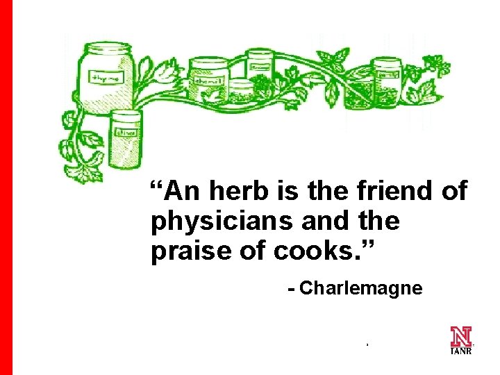 “An herb is the friend of physicians and the praise of cooks. ” -