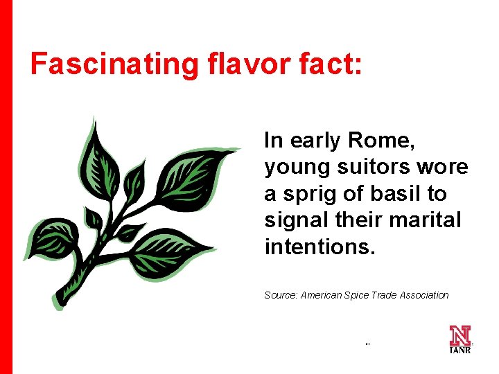 Fascinating flavor fact: In early Rome, young suitors wore a sprig of basil to