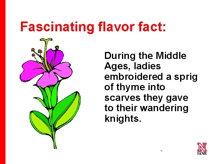 Fascinating flavor fact: During the Middle Ages, ladies embroidered a sprig of thyme into