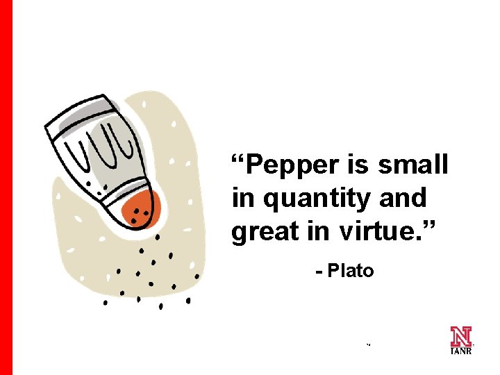 “Pepper is small in quantity and great in virtue. ” - Plato 76 76