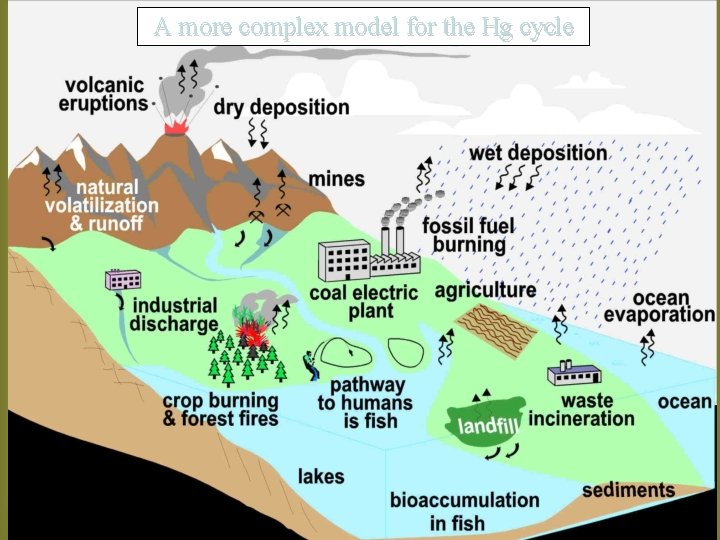 A more complex model for the Hg cycle Figure by John E. Gray, USGS