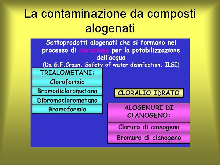 La contaminazione da composti alogenati 